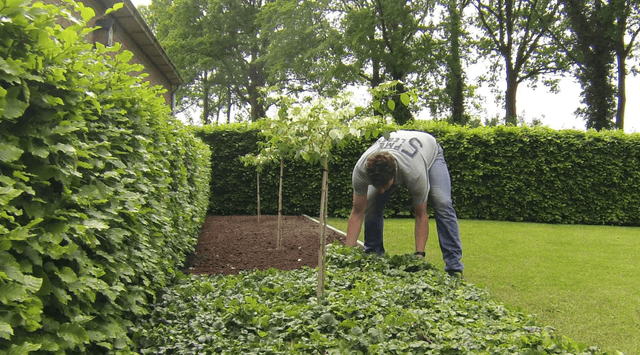 Choosing the right amount of groundcover mats