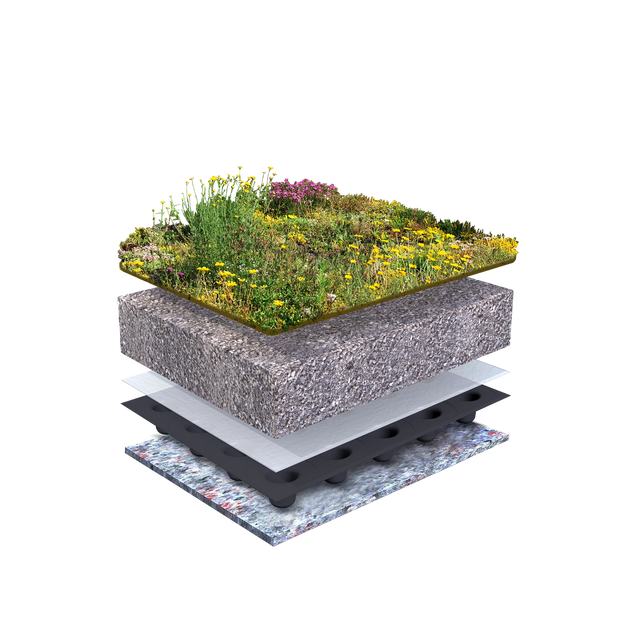 Sedum taksystem Biodivers lättvikt
