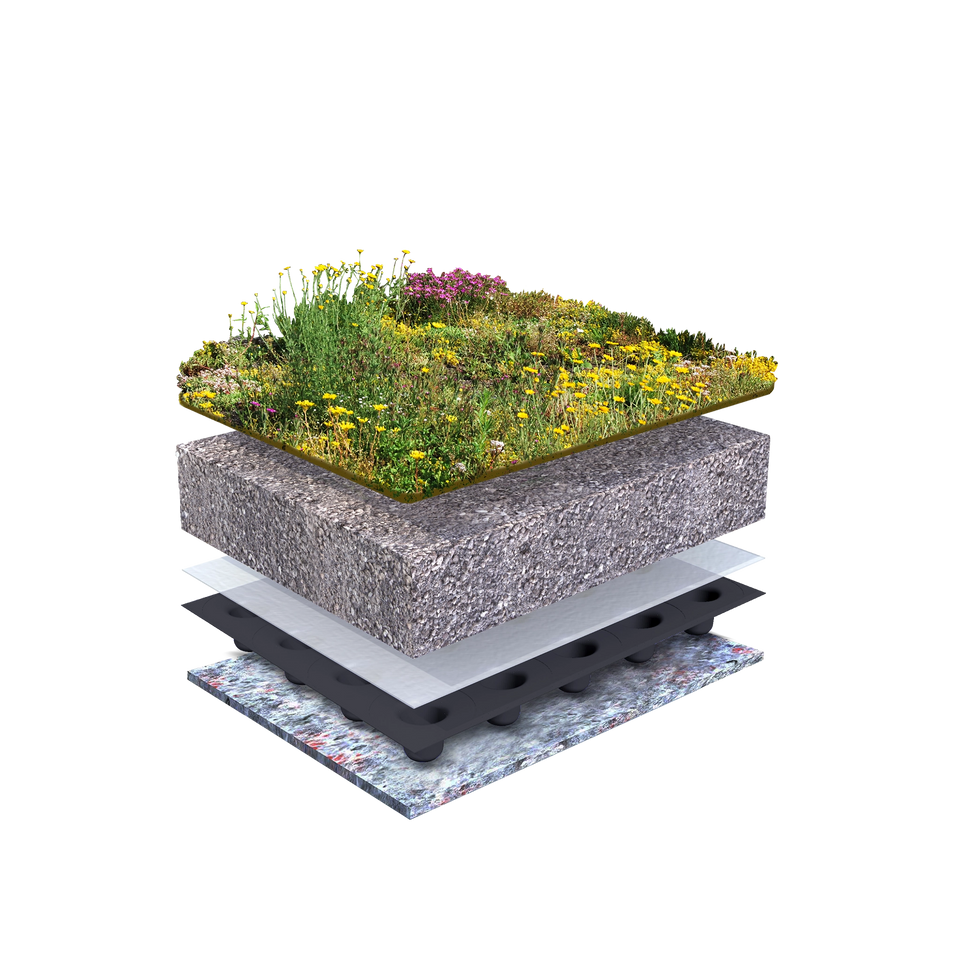 Sedum taksystem Biodivers lättvikt
