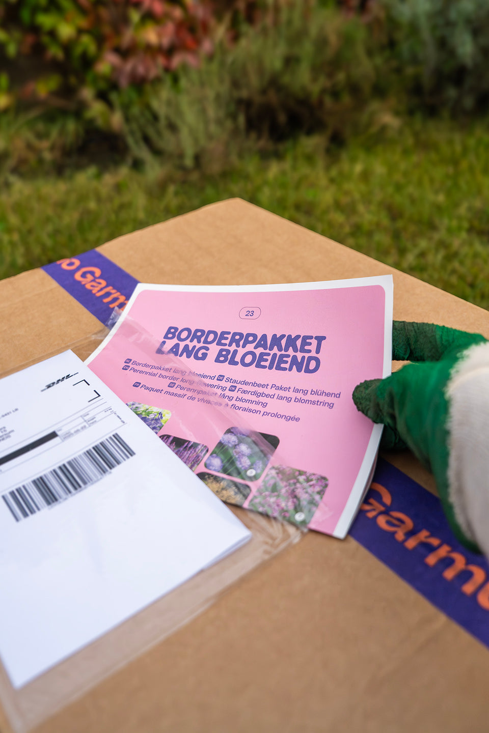 Perennpaket ormbunkar