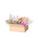 Perennpaket snittblommor