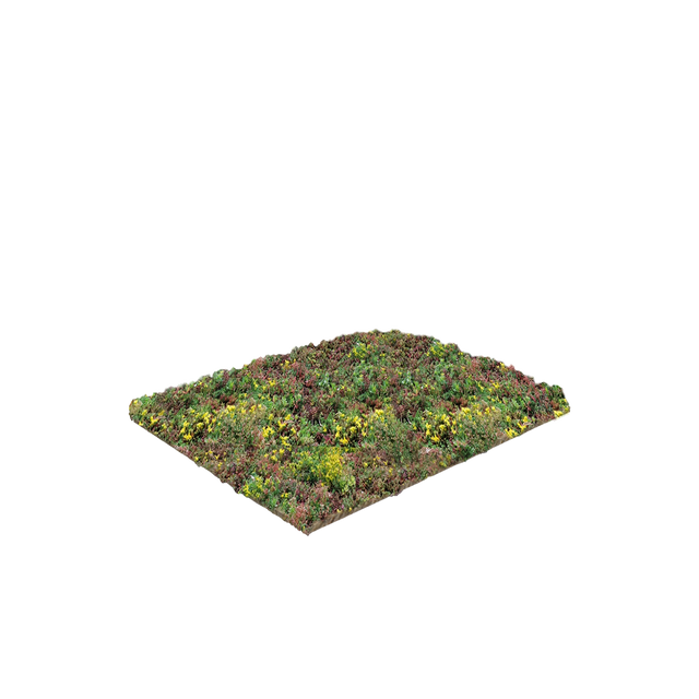 Vegetationsmattor med sedum