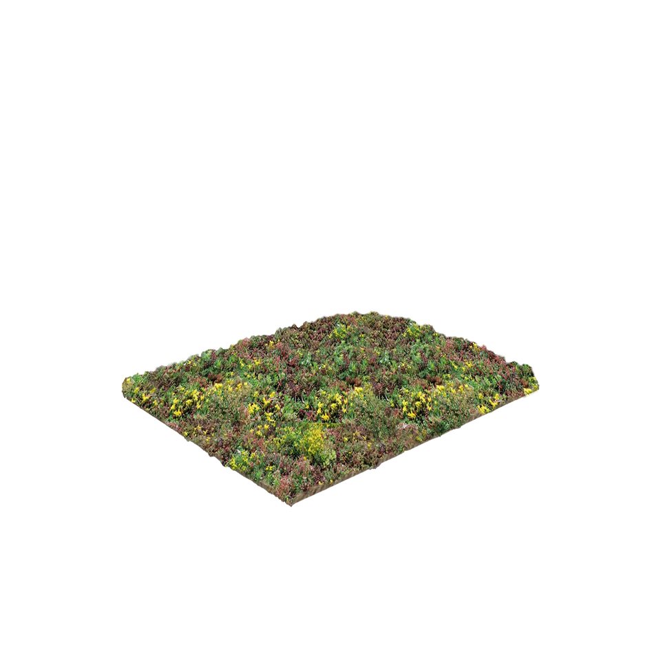 Vegetationsmattor med sedum