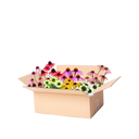 Perennpaket solhatt